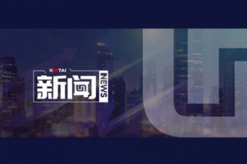 AI驱动新增长，扣非净利提升10%，尊龙集团数码2025一季度稳健开局